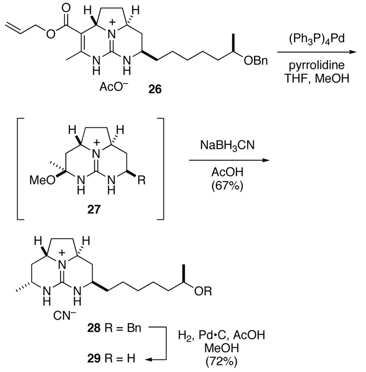 Scheme 6