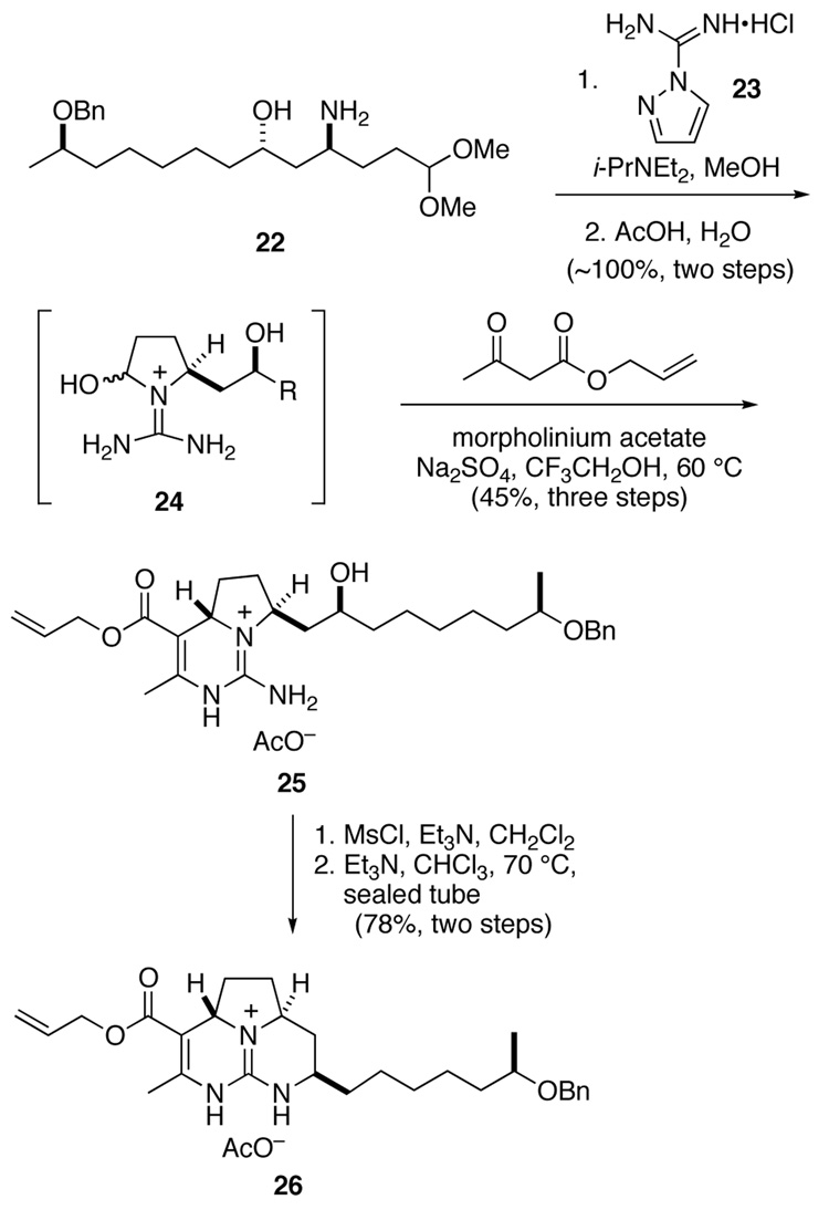 Scheme 5