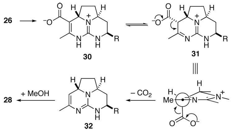 Scheme 7