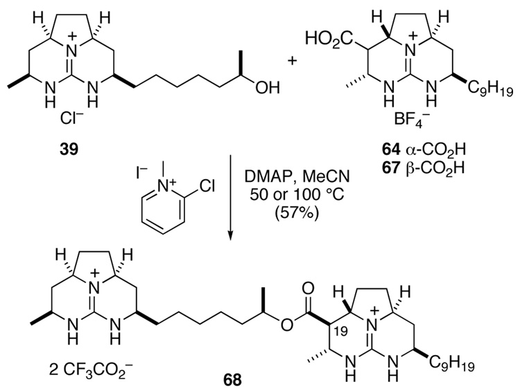 Scheme 14