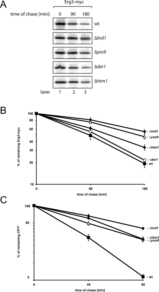 FIGURE 3: