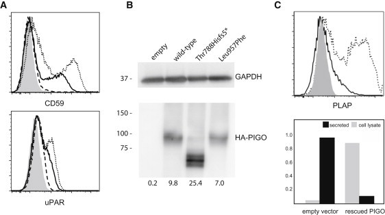 Figure 5