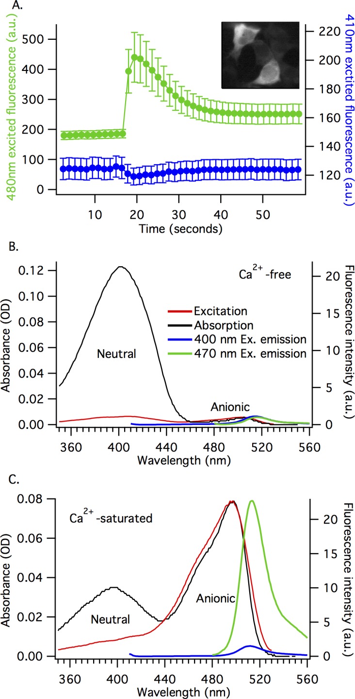 Fig 2