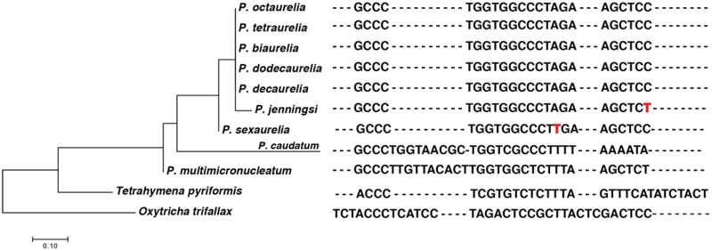 Fig. 3.