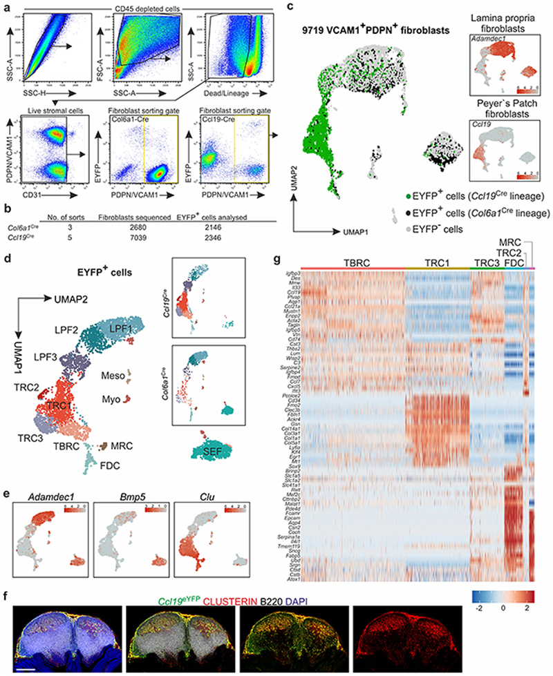 Extended Data Fig. 2