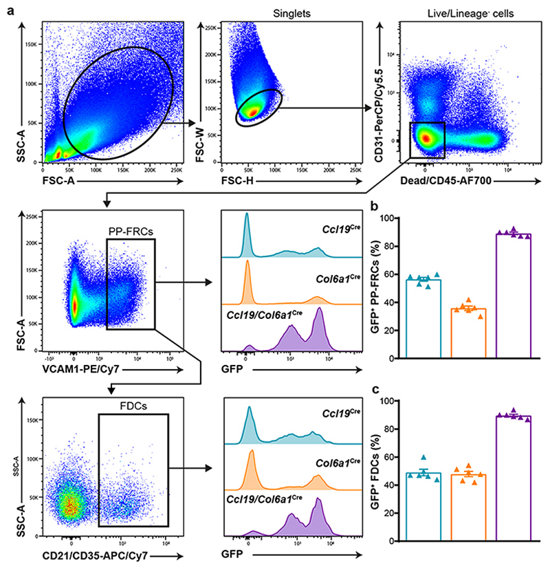 Extended Data Fig. 1