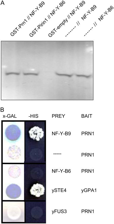 Figure 6.