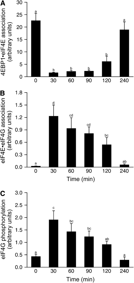 FIGURE 5 