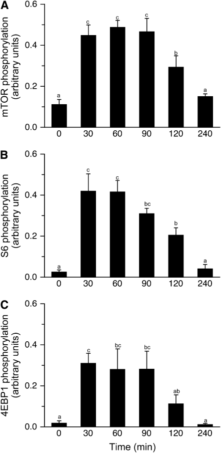 FIGURE 4 