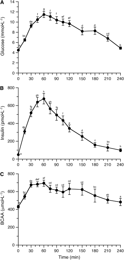 FIGURE 1 