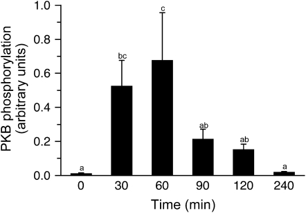 FIGURE 3 