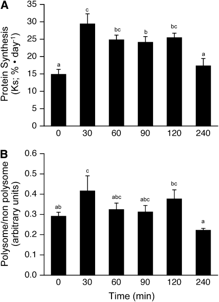 FIGURE 2 