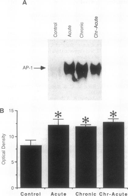 graphic file with name pnas01087-0077-a.jpg