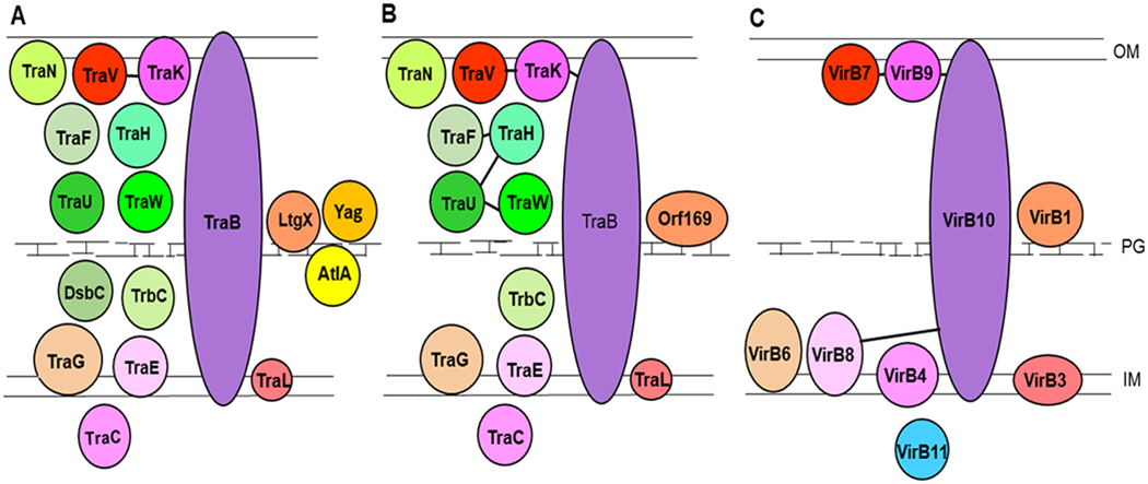 Fig. 1.