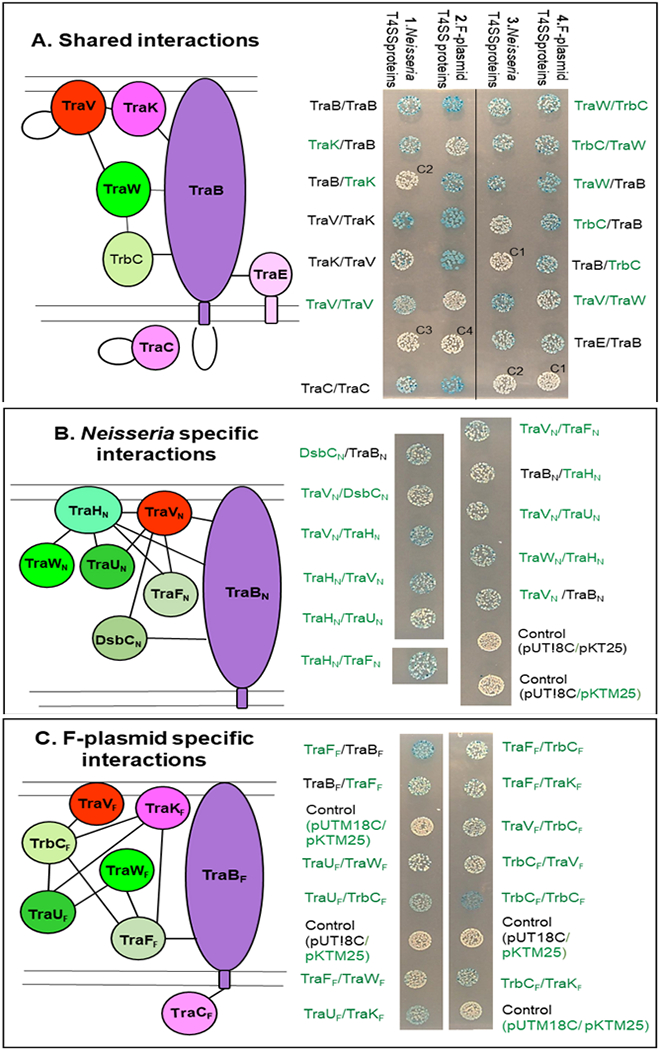 Fig. 3.