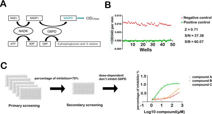 Figure 2