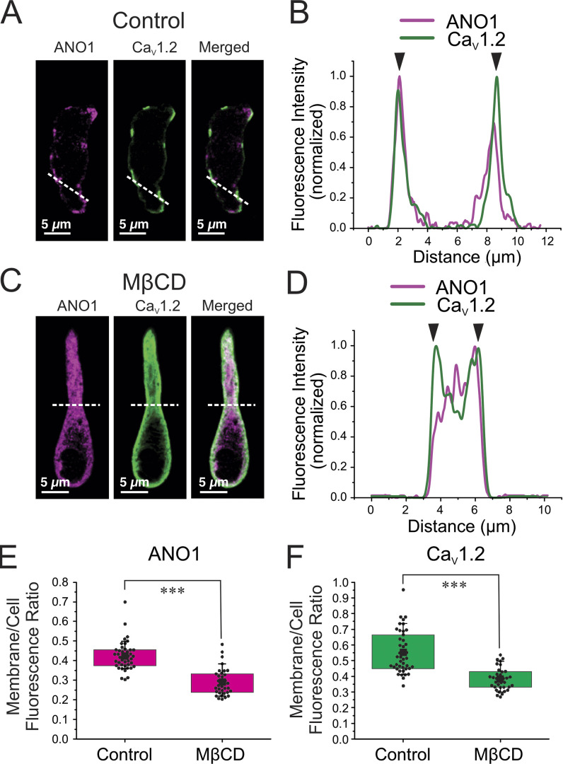 Figure 10.