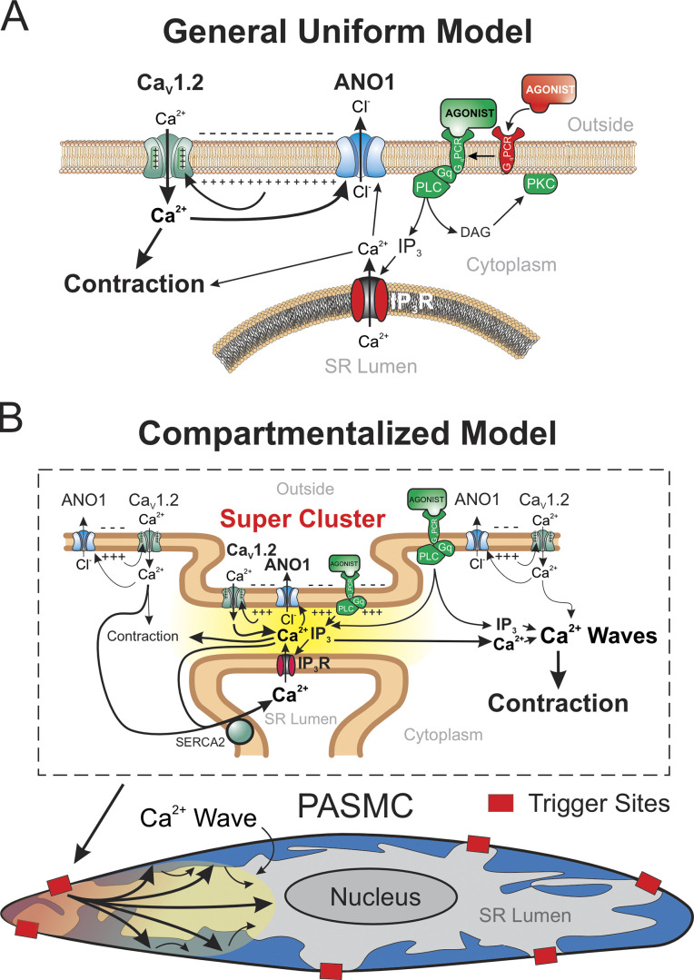 Figure 12.