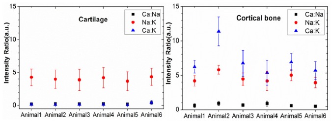 Fig. 3