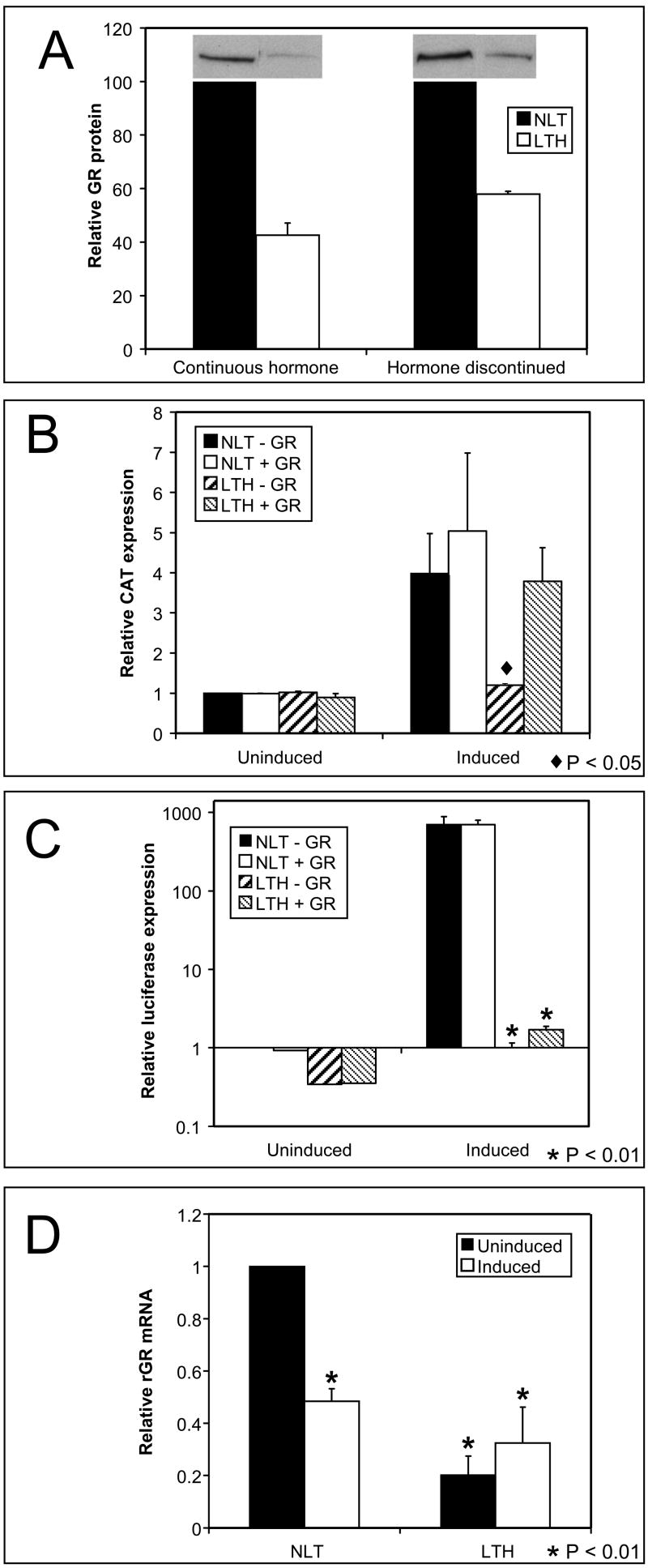 Fig 5