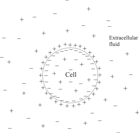 Fig. A.1