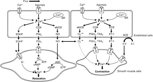 Fig. A.6