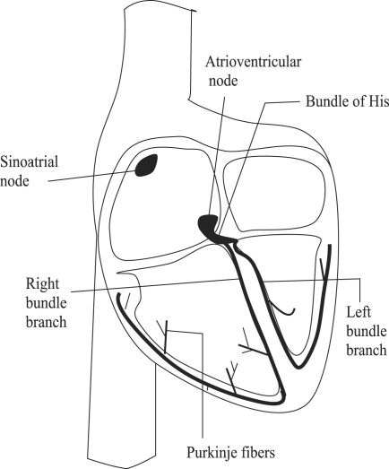 Fig. A.5