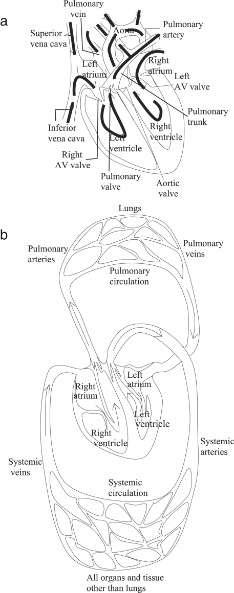 Fig. A.4