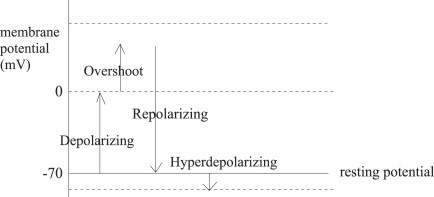 Fig. A.2