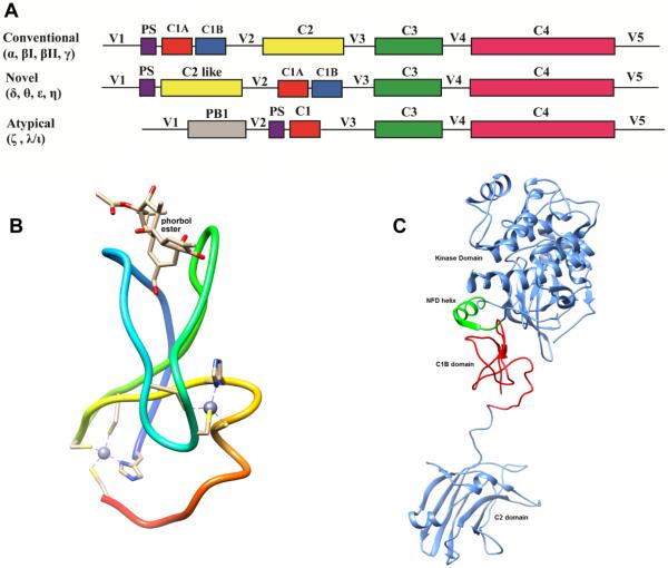 Fig.6