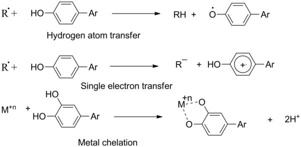 Fig.3