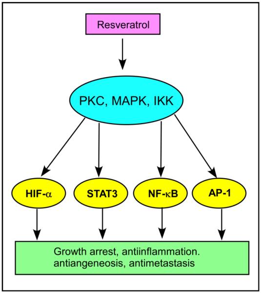 Fig.9