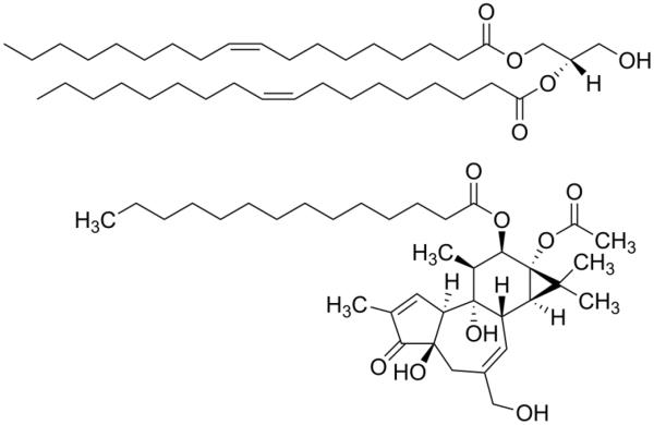 Fig.5