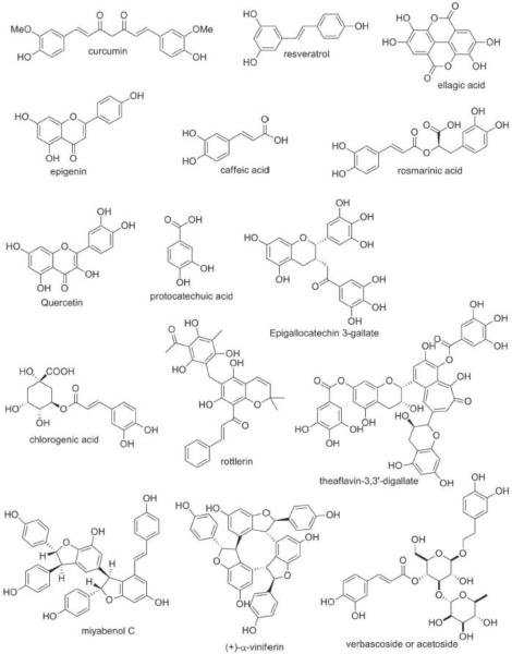 Fig.1