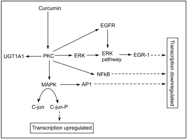 Fig.8