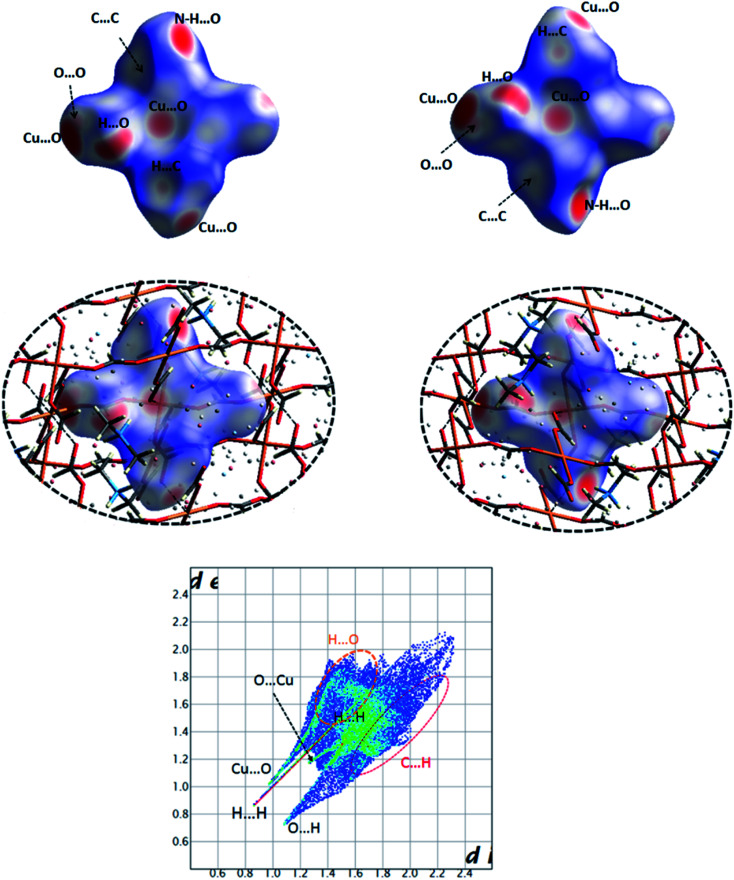 Fig. 19