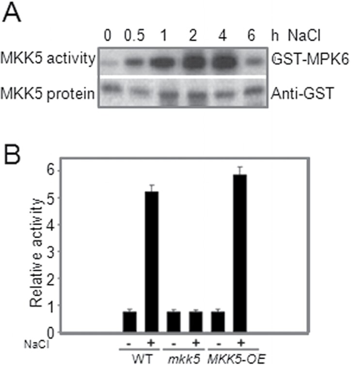 Fig. 4.