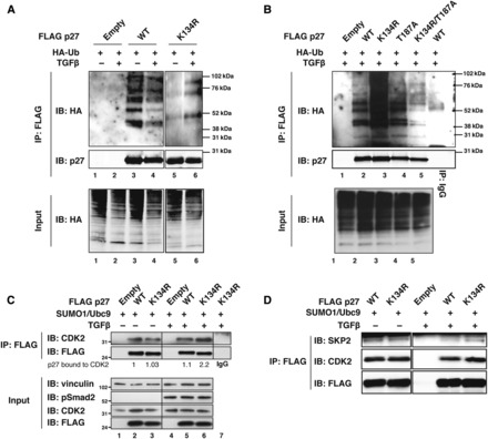 Figure 4