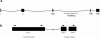 F<sc>igure</sc> 1.—