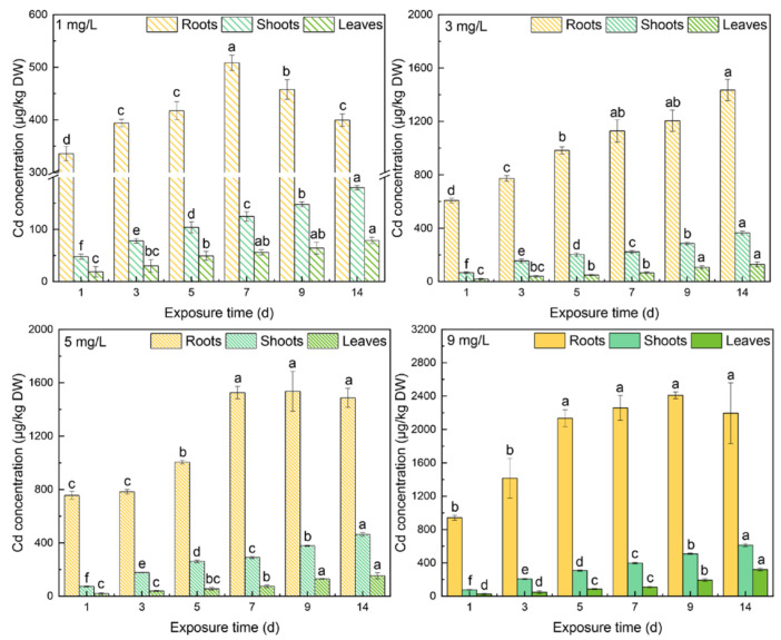 Figure 4