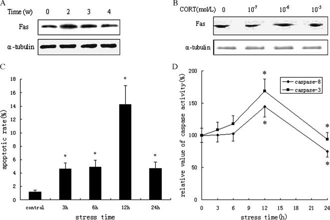 Fig 2.