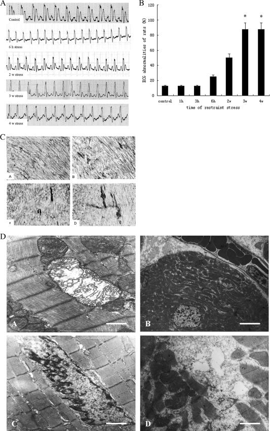 Fig 1.