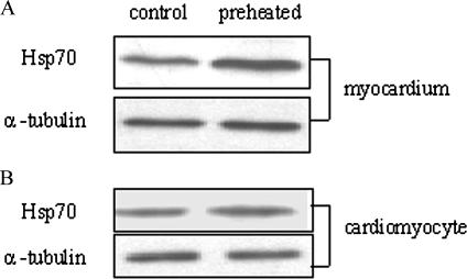 Fig 5.