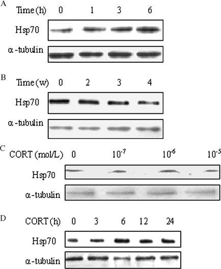 Fig 3.