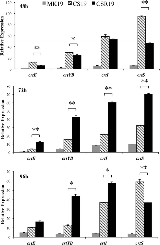 Figure 3