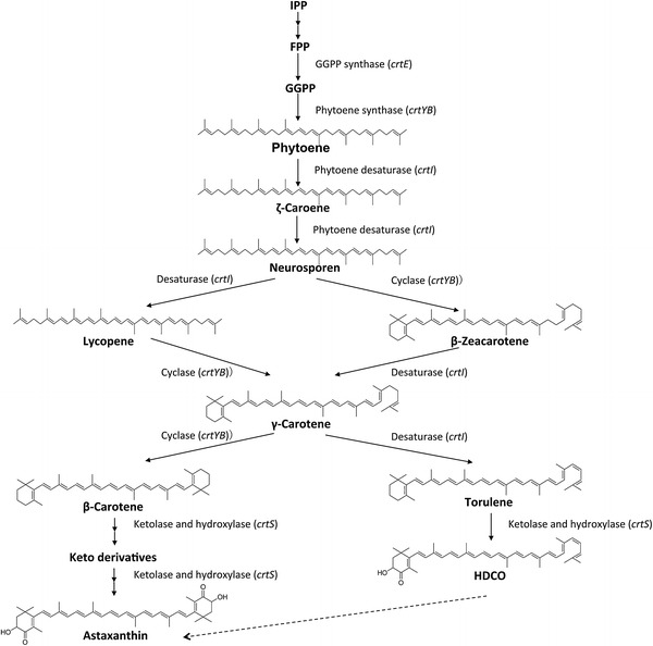 Figure 5