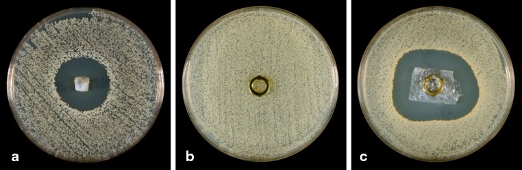 Fig. 2