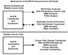 Fig.4