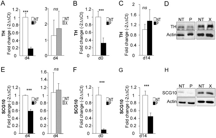 Fig 8