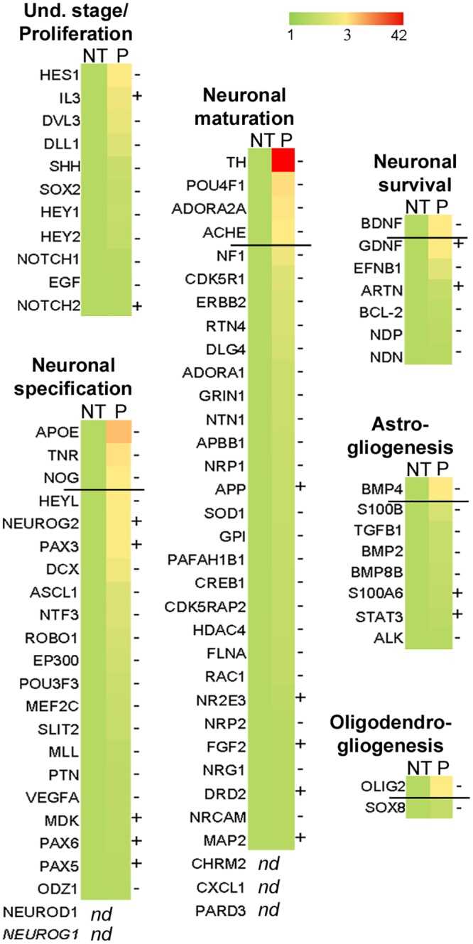 Fig 7